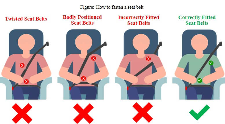The Importance of Seat Belt Data and Seat Belt Solutions